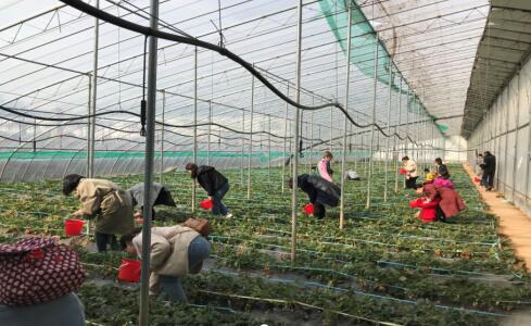 RAYBET雷竞技(CHINA)官方网站-电子竞技赛事平台