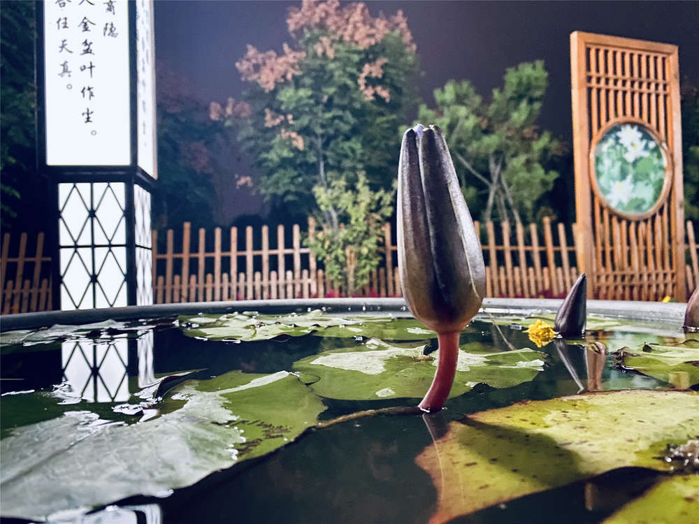 RAYBET雷竞技(CHINA)官方网站-电子竞技赛事平台