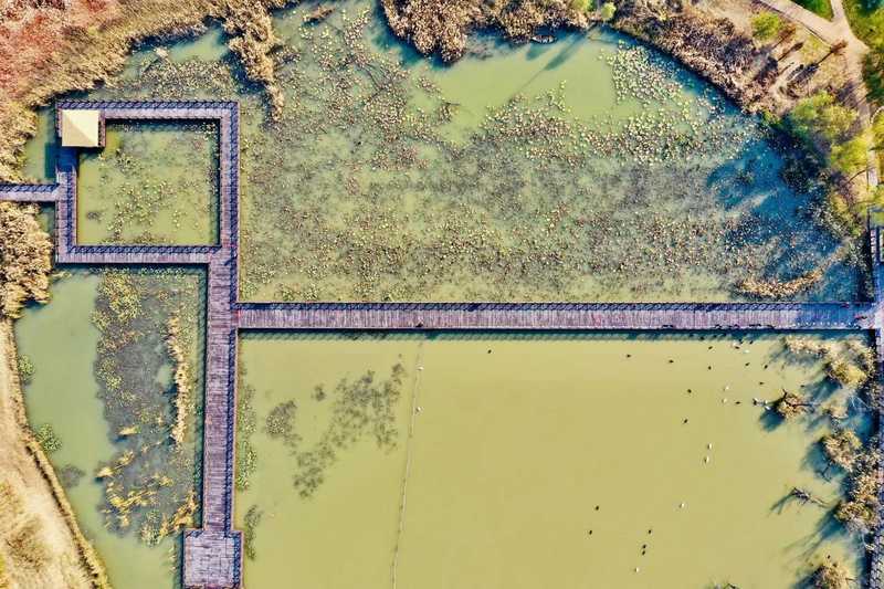 RAYBET雷竞技(CHINA)官方网站-电子竞技赛事平台